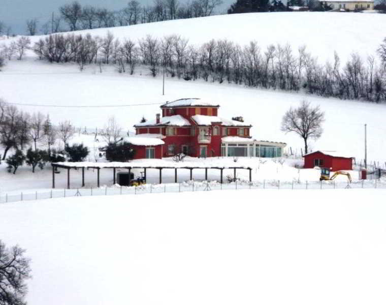 L'Antigo Granaro Konuk evi Agugliano Dış mekan fotoğraf
